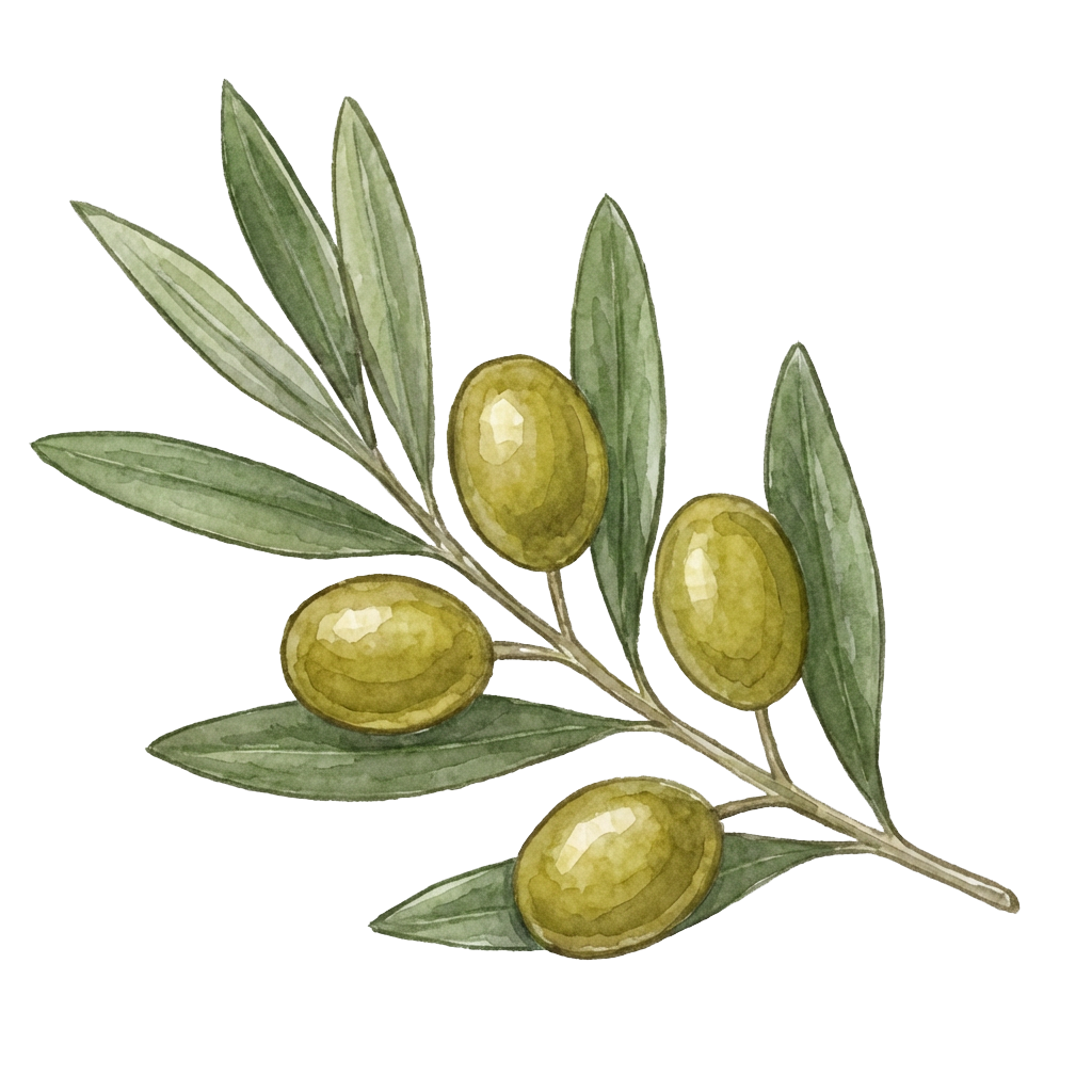 Firefly_can you make me a design for a featured recipes for an olive oil website, the two rec 122197 clear leaf